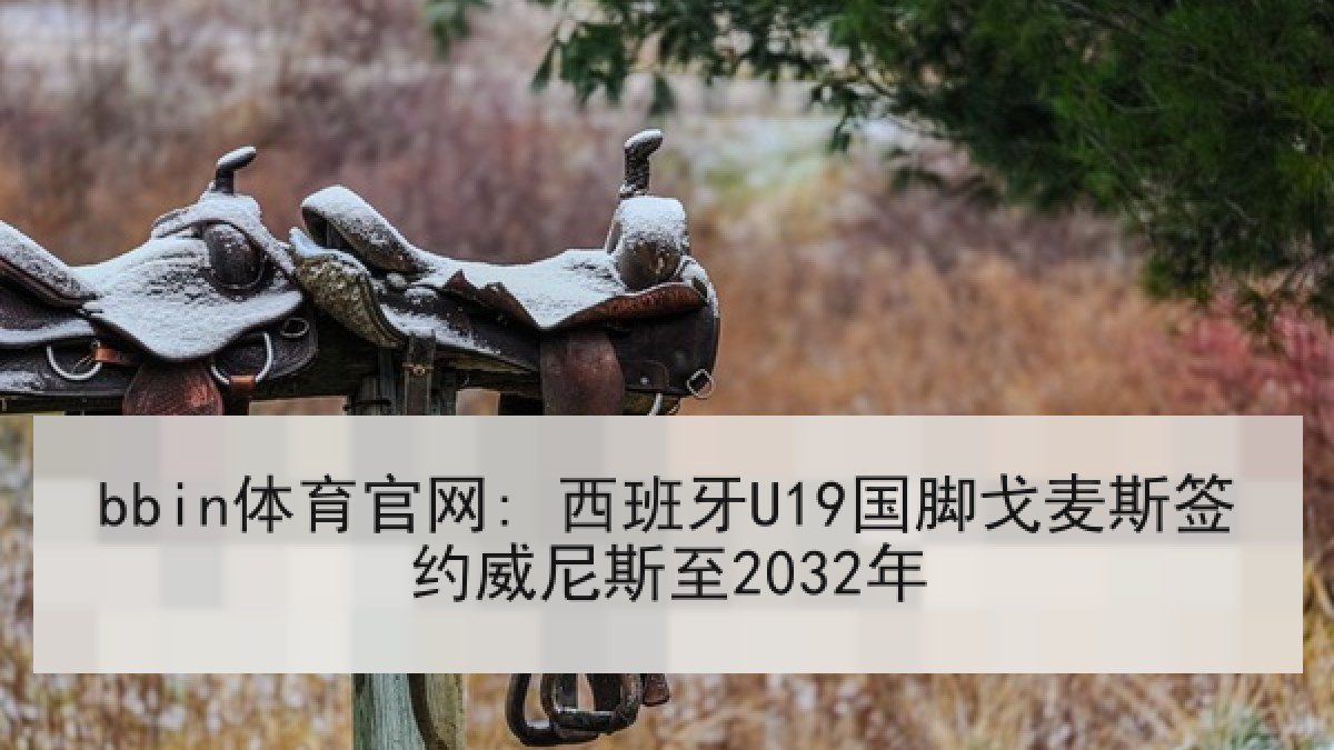 bbin体育官网: 西班牙U19国脚戈麦斯签约威尼斯至2032年