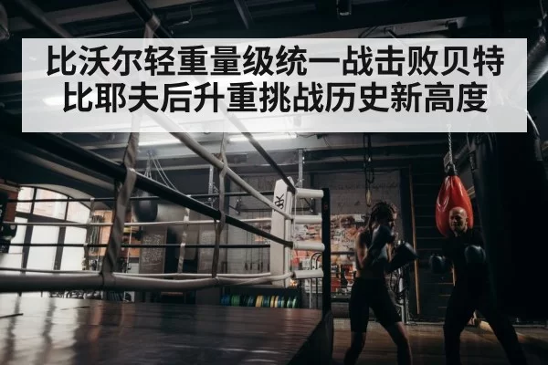 boxer training